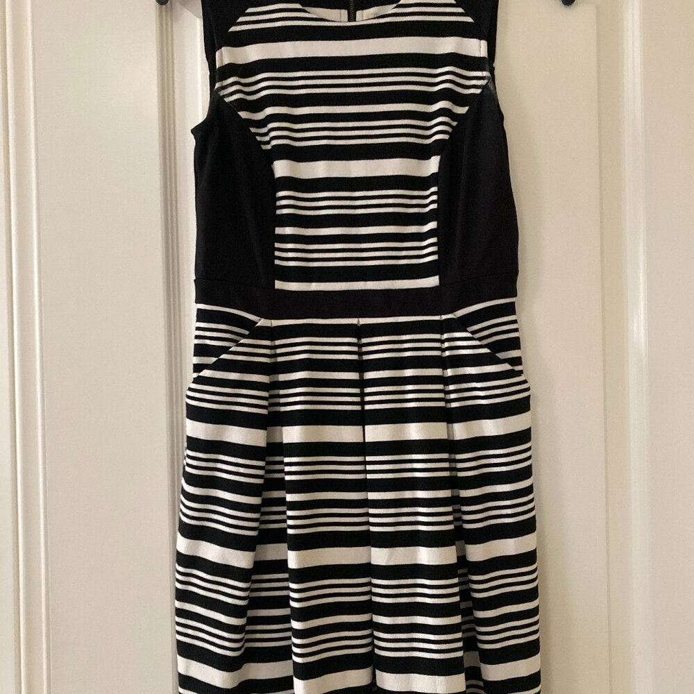 Ann Taylor Loft Stripe Dress